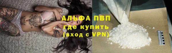 стафф Арсеньев