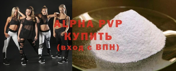 стафф Арсеньев