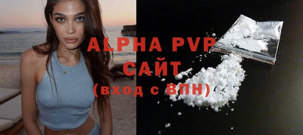 стафф Арсеньев