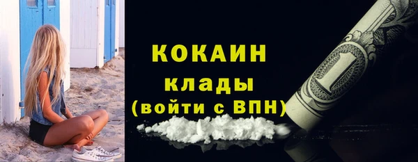 амф Пересвет