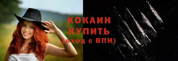 амф Пересвет