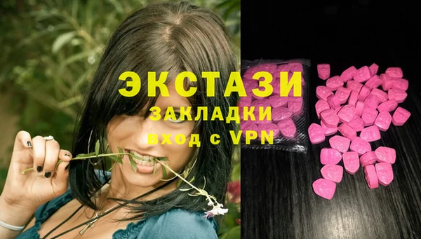 стафф Арсеньев